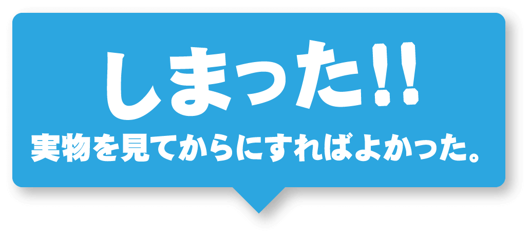 しまった！！実物を見てからにすればよかった。